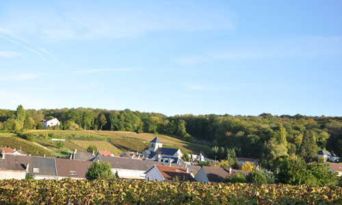 Diapositive de Mailly Champagne 1