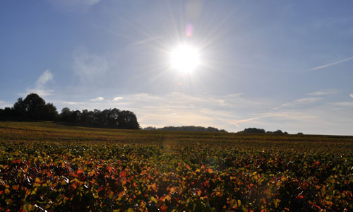 Diapositive de Mailly Champagne 3