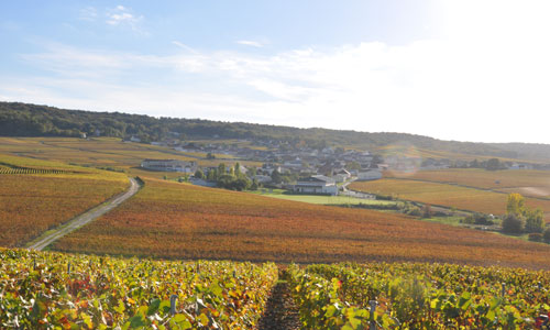 Diapositive de Mailly Champagne 4